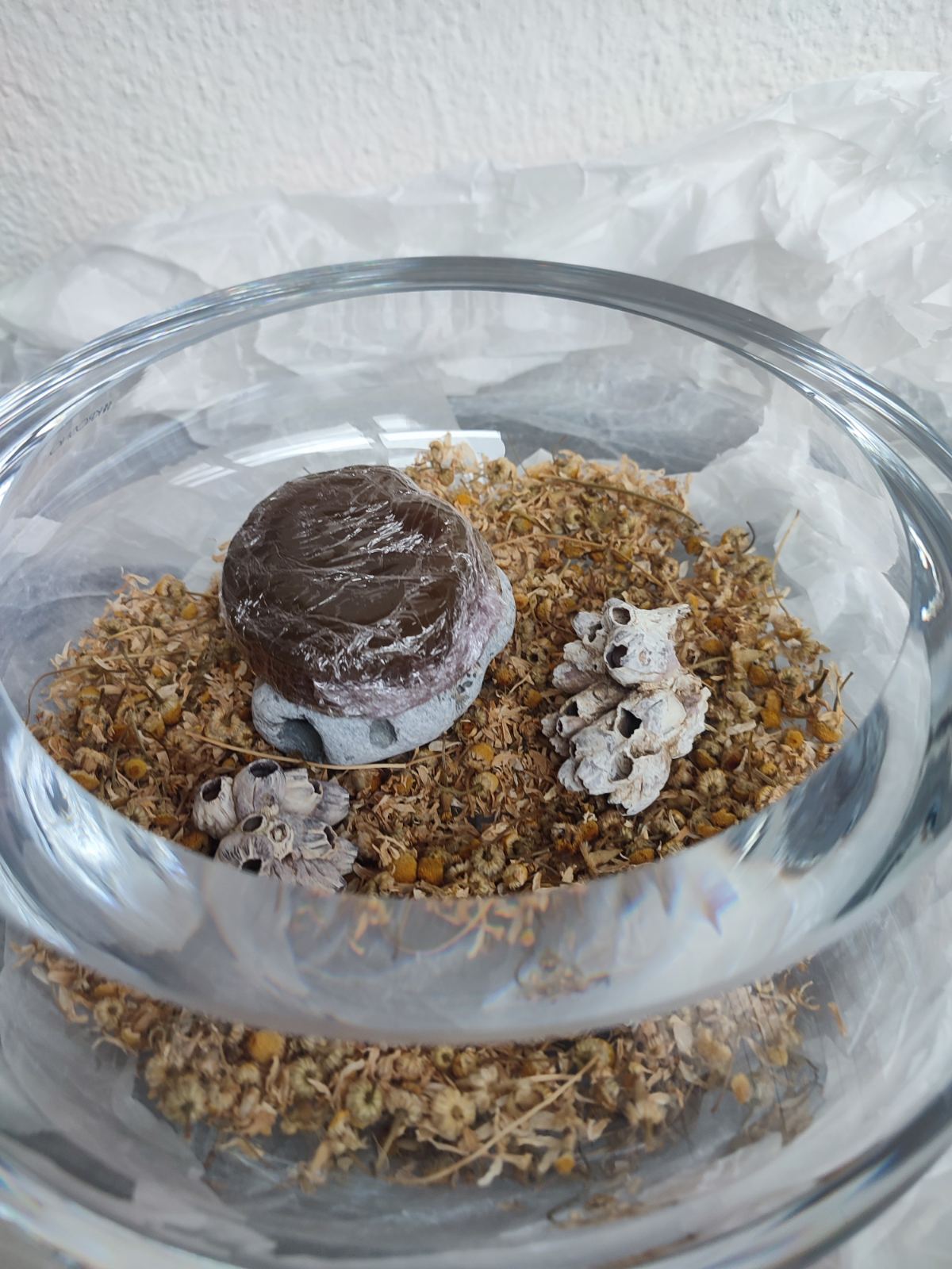 Artistic display of handmade chamomile soaps in a glass bowl filled with dried herbs and natural botanicals
